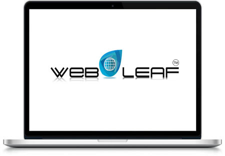 Website Development in Bathinda