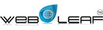 Website Development in Bathinda