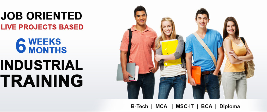 Website Development in Bathinda